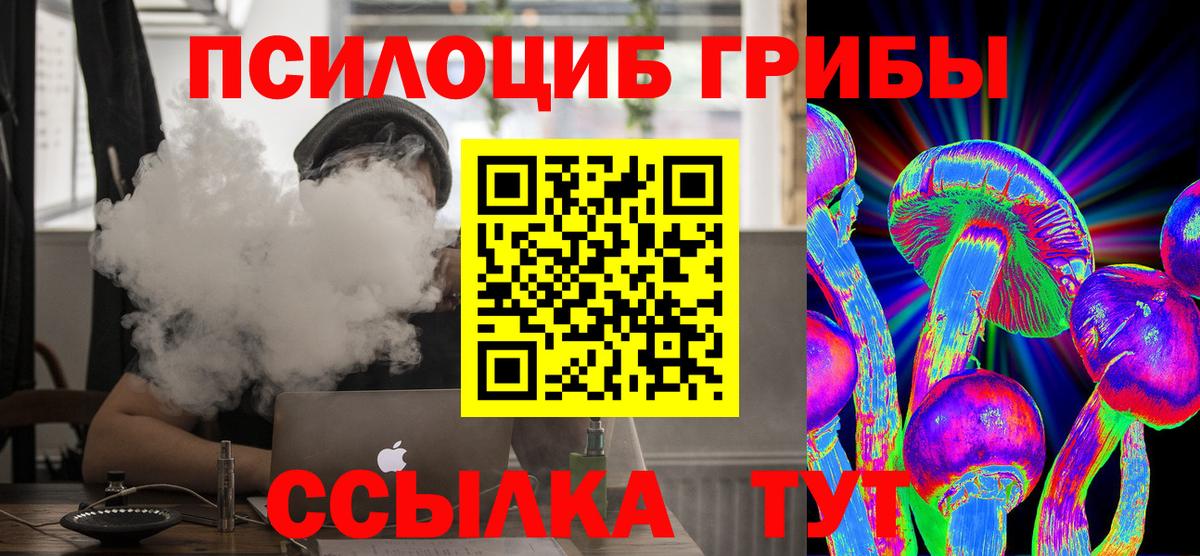 Галлюциногенные грибы Psilocybine cubensis Сердобск
