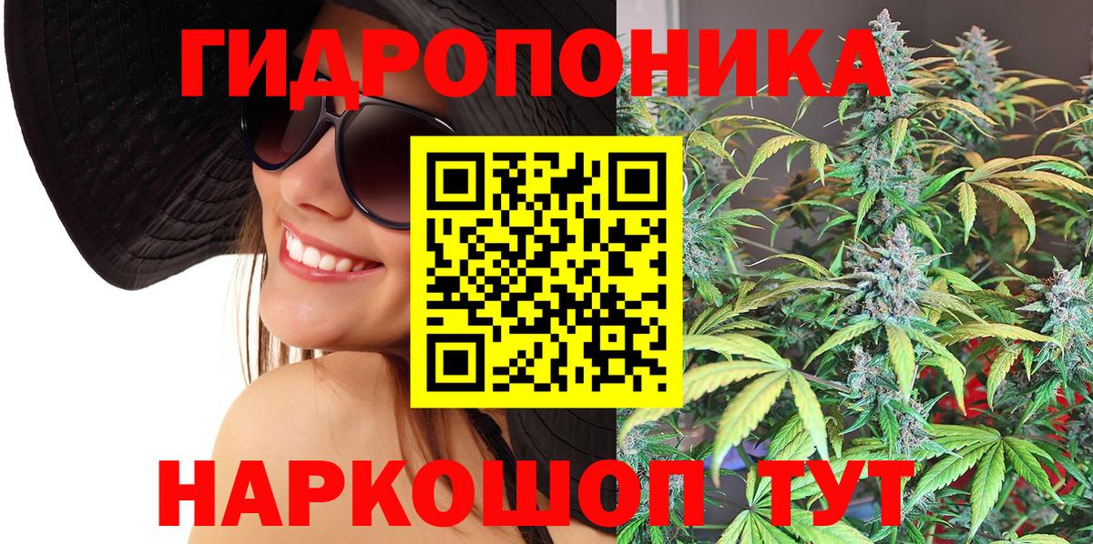 Бошки Шишки планчик  Шишки марихуана конопля  Вход с VPN  Марихуана Ganja  Сердобск 